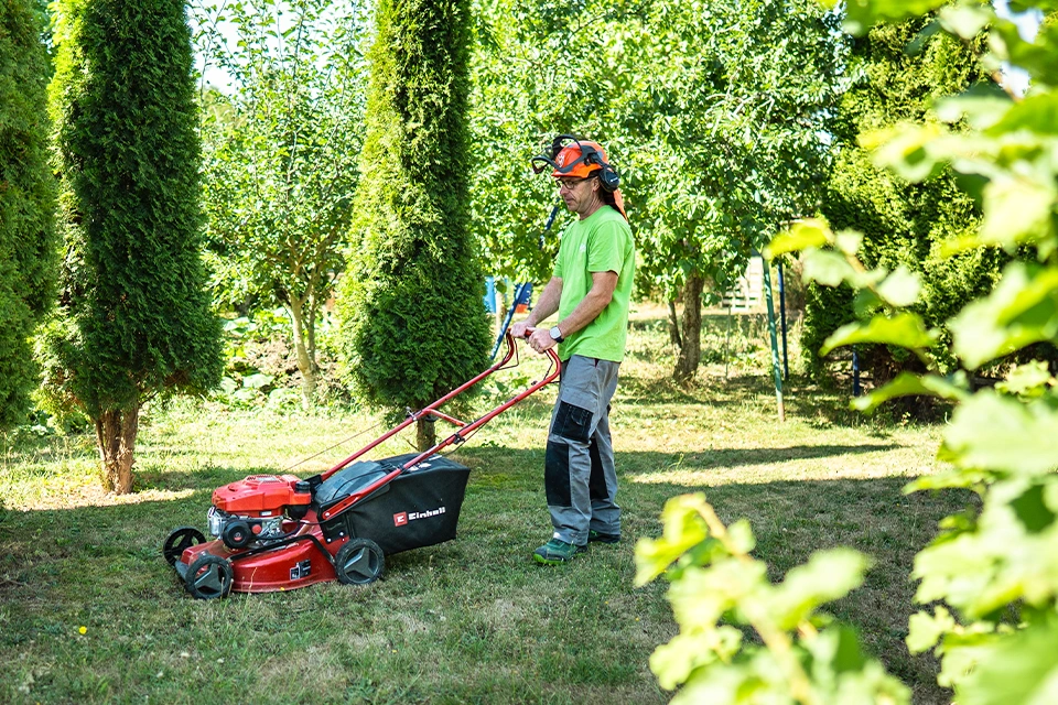 Vitali Kappes | Gartenpflege